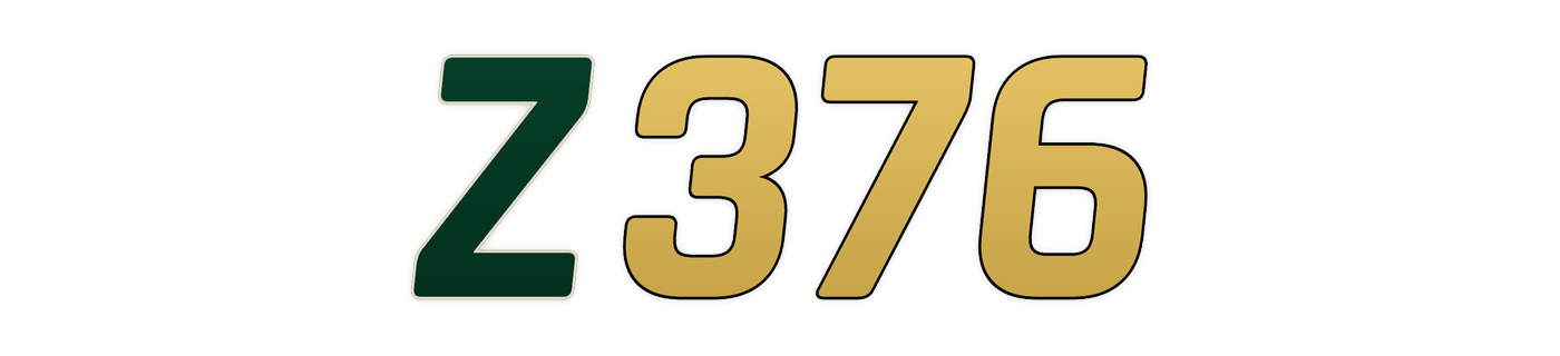 z376